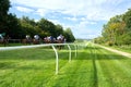 UK Horse racing on the flat. Lingfield Park racecourse, Surrey, UK