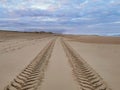 View of straight tire tracks prints in the beach sand Royalty Free Stock Photo