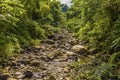 A view of a stream on Mount Soufriere in Saint Vincent