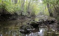 A view of a stream in Tuscany, Italy Royalty Free Stock Photo