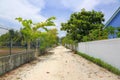 View of a streest on a local island, Maldives, Dhangethi.