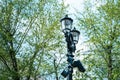 View of the street lamp in the park on a background of trees and blue sky Royalty Free Stock Photo