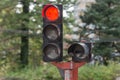 View of the street traffic light closeup