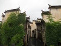 A vine grows on a street in huizhou, China