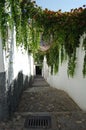 View of the streets and old buildings of Granada in Andalusia (Spain). El Albaicin (or Albayzin) Royalty Free Stock Photo