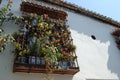 View of the streets and old buildings of Granada in Andalusia (Spain). El Albaicin (or Albayzin) Royalty Free Stock Photo