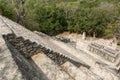 Looking down from the top of a pyramid at Calakmul maya runs in Mexico Royalty Free Stock Photo