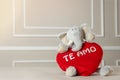 View of a stuffed elephant holding a heart with Te Amo writing on it - valentine's concept