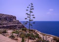 View of the stunning blue Mediterranean Sea seen from the coast of Malta