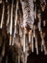 Carbonnieres cave in Lacave near Rocamadour and Padirac