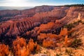 view of stunning red sandstone hoodoos in Bryce Canyon National Park in Utah, USA Royalty Free Stock Photo