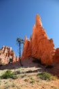 Stunning rock formations in Bryce Canyon National Park Royalty Free Stock Photo