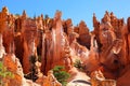 Stunning rock formations and ponderosa pines in Bryce Canyon National Park Royalty Free Stock Photo