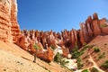 Stunning rock formations and ponderosa pines in Bryce Canyon National Park Royalty Free Stock Photo