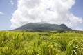 Sugar Cane fields & Mountain landscape Royalty Free Stock Photo