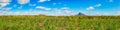 View of a sugarcane and mountains. Mauritius. Panorama Royalty Free Stock Photo