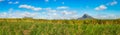 View of a sugarcane and mountains. Mauritius. Panorama Royalty Free Stock Photo