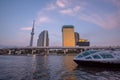 View of Sumida River with Tokyo Skytree and The Asahi Beer building in Tokyo
