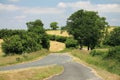 View on summer landscape in mountains with dry grass green trees and empty road Royalty Free Stock Photo