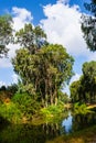 View of summer park Yarkon Royalty Free Stock Photo