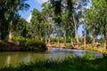 View of summer park Yarkon Royalty Free Stock Photo