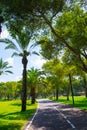 View of summer park Yarkon Royalty Free Stock Photo
