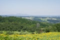 View on the sunflower field and hills Royalty Free Stock Photo