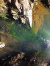 SUNLIGHT ON WATER FLOWING OVER GREEN ALGAE