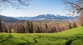 View from Sunntratn hillside to isar valley and Brauneck mountain, upper bavarian landscape at early springtime