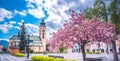 View in sunny day with blossoming tree . buildings in the city center of Liptovsky Mikulas. town in northern Slovakia, in the his