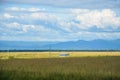 A View of a sunny day and a tiny valley in the rape rice field, a White cloud valley on the blue sky