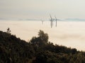 A view of a sunrise from a hill of wind turbines on low clouds Royalty Free Stock Photo