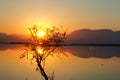 SUNRISE AT MESSOLONGHI LAGOON - GREECE