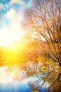 view on sunrise on small river in leafless forest instagram stile Royalty Free Stock Photo