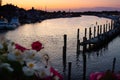 View of sunset over canal in focus with soft flowers in foreground
