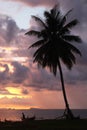 The view at the sunset sky and sea with a palms tree and boat on the beach.