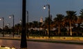 View at sunset to the decoratively decorated alley in front of the Zaabeel Palace in the Dubai city, United Arab Emirates