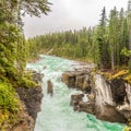 View of the Sunwapta falls gorge in Jasper National Park - Canadian Rocky Mountains Royalty Free Stock Photo