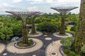 A view of the super tree grove in the Gardens by the Bay in Singapore, Asia