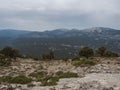 View of Supramonte Mountains with white limestone rock, green trees and valley. Sardinia, Italy. Summer cloudy day