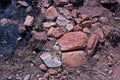 PATCH OF CHARRED GRASS AFTER A VELD FIRE Royalty Free Stock Photo