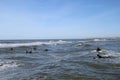 View of surfers at Lokken beach in North Jutland