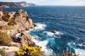 View of surging sea among cliffs with flowers