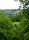 View of Surrey Countryside
