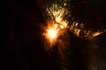 a view surrounded by pine needles at a summer sunset Royalty Free Stock Photo