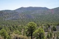 View of the surrounding area of Sunset Crater Volcano National Monument in Arizona Royalty Free Stock Photo