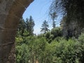 View of the surrounding forest from the Templar fortress, 12th century, northern Cyprus.