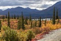 View of the Susitna River along the Denali Highway, Alaska