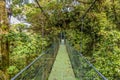 A view of a suspended bridge in the jungle canopy of the cloud rain forest in Monteverde, Costa Rica. Royalty Free Stock Photo