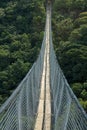 SUSPENSION BRIDGE CROSSING ORIBI GORGE Royalty Free Stock Photo